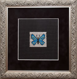 Blue Butterfly